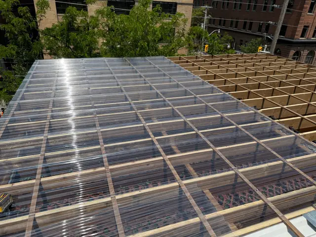 King St. East — clear roof panels going on over the frame